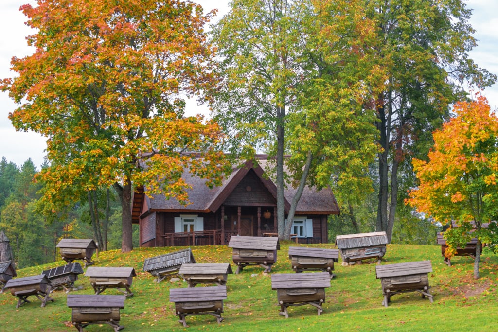 Beekeeping Museum 