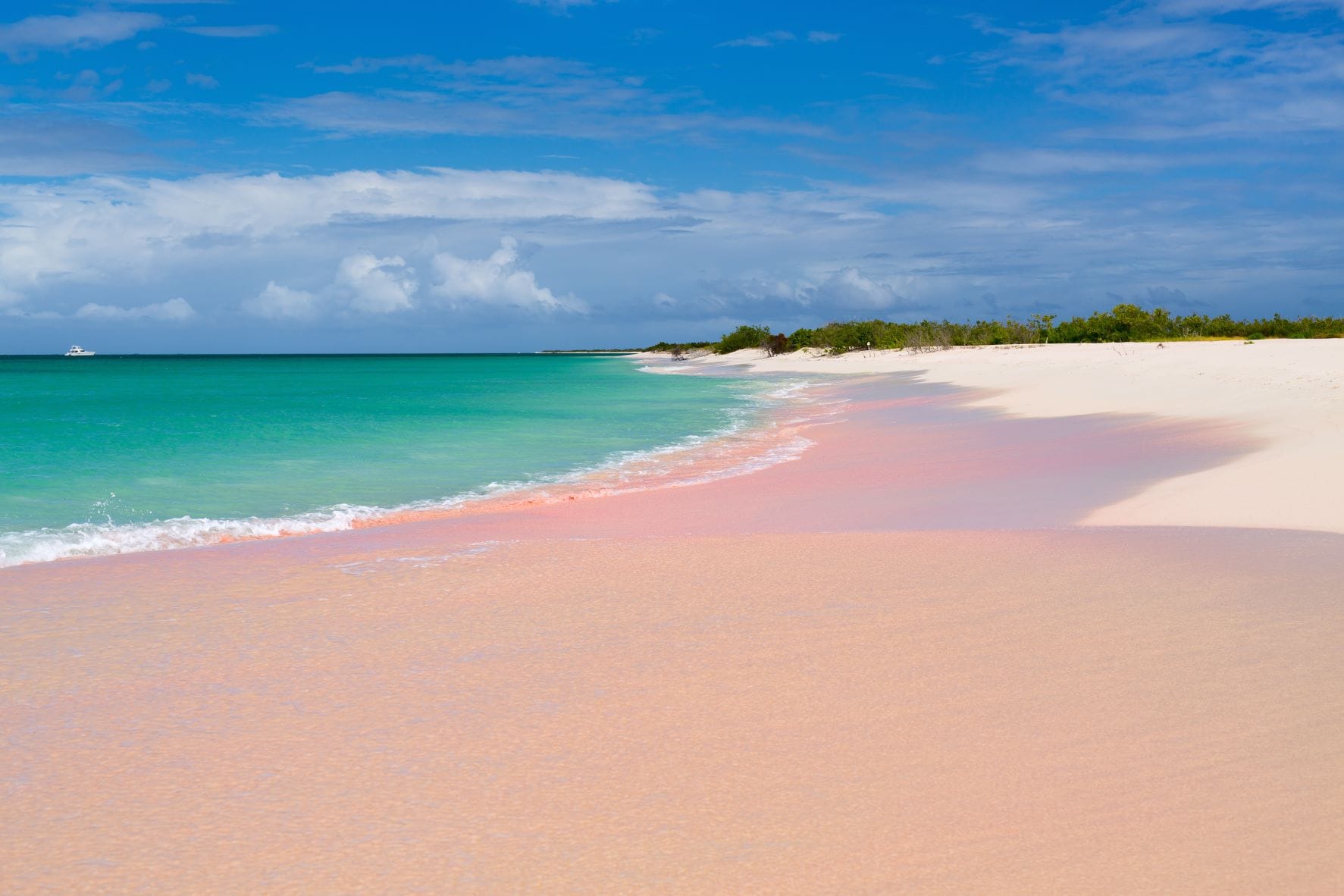 Strand auf der Karibik-Insel Barbuda 