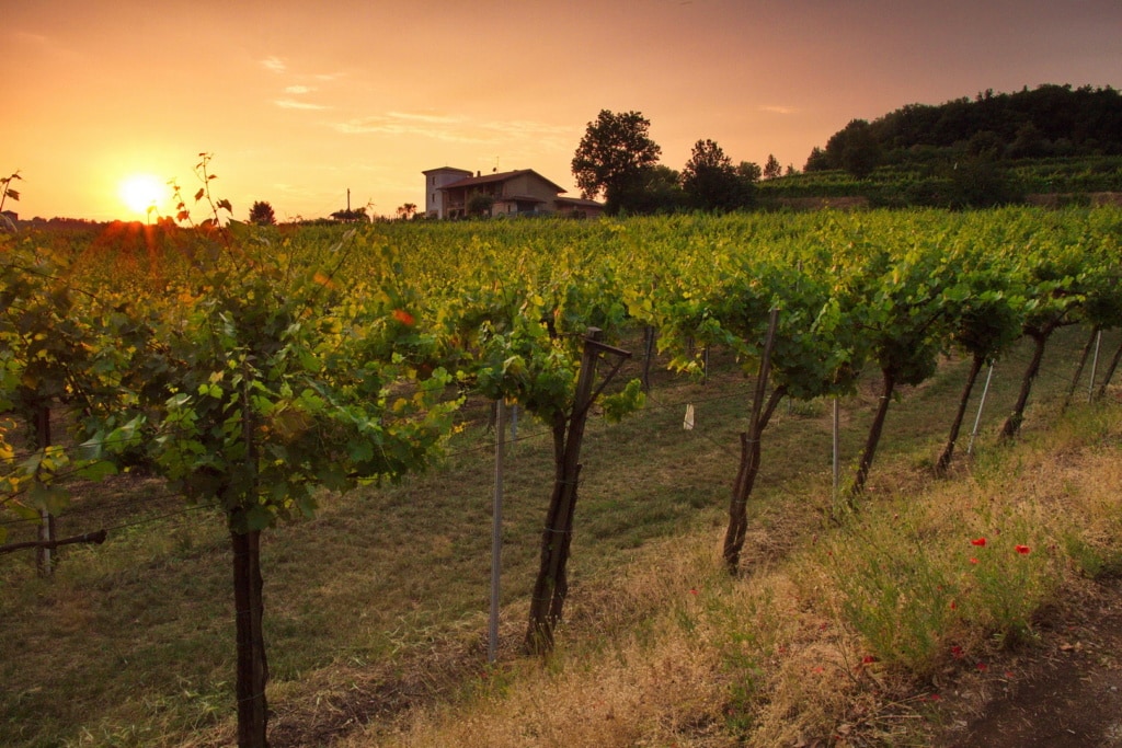 Weingut in Franciacorta