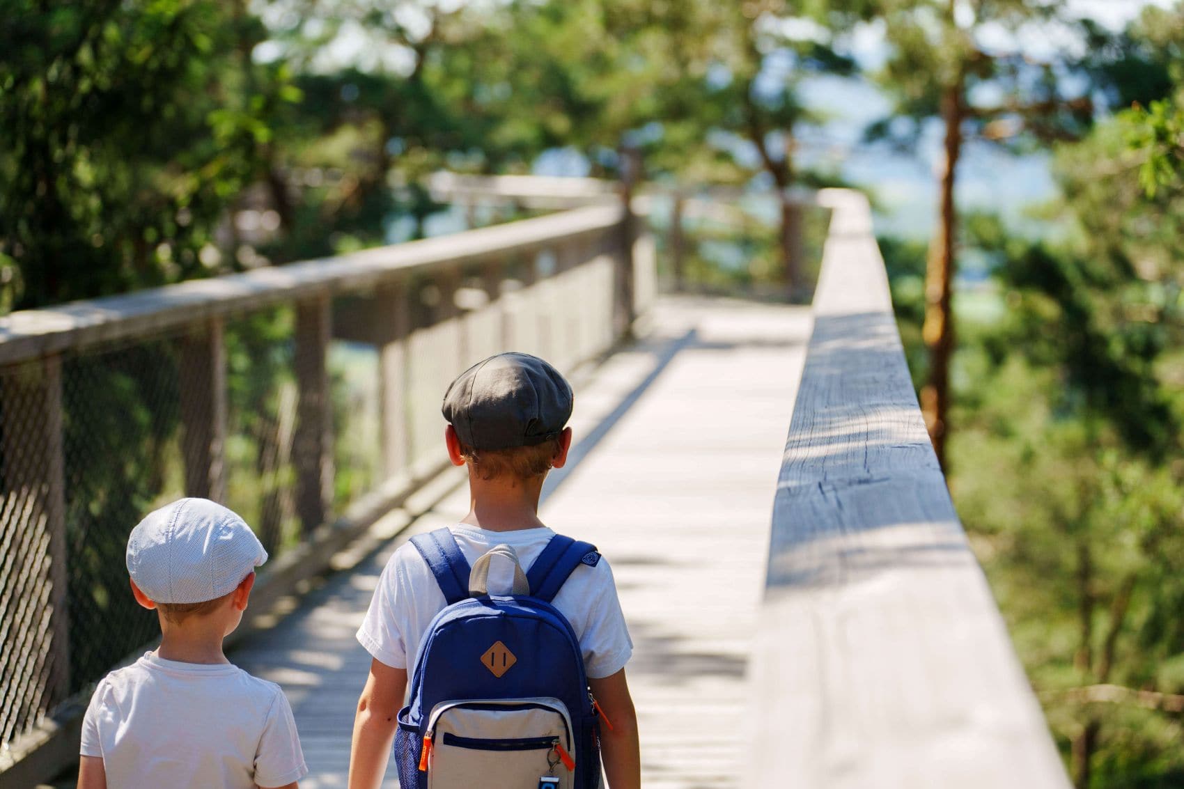 Zwei kleine Jungen auf dem Baumwipfelpfad im Elsass 