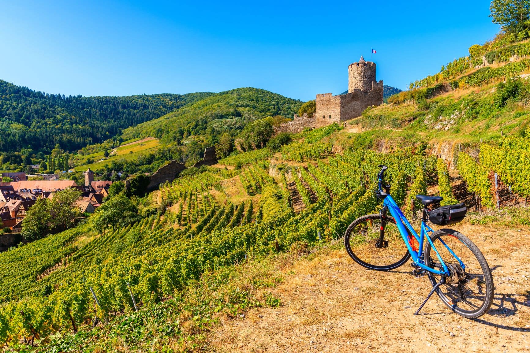 Blaues Fahrrad steht in einem Weinanbaugebiet im Elsass, im Hintergrund die Ruine einer Burg