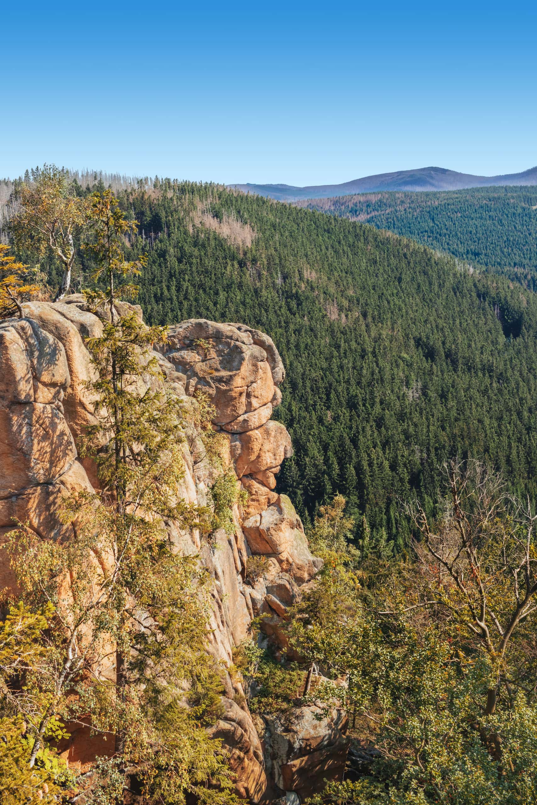 Rabenklippe im Harz Nationalpark, von der man Luchse beobachten kann