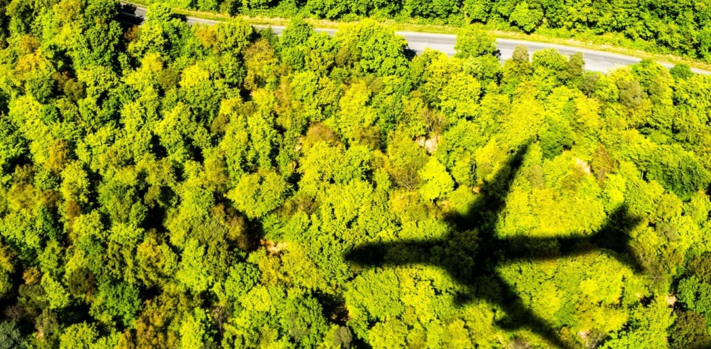 Schatten eines Flugzeuges, das über ein Waldgebiet fliegt