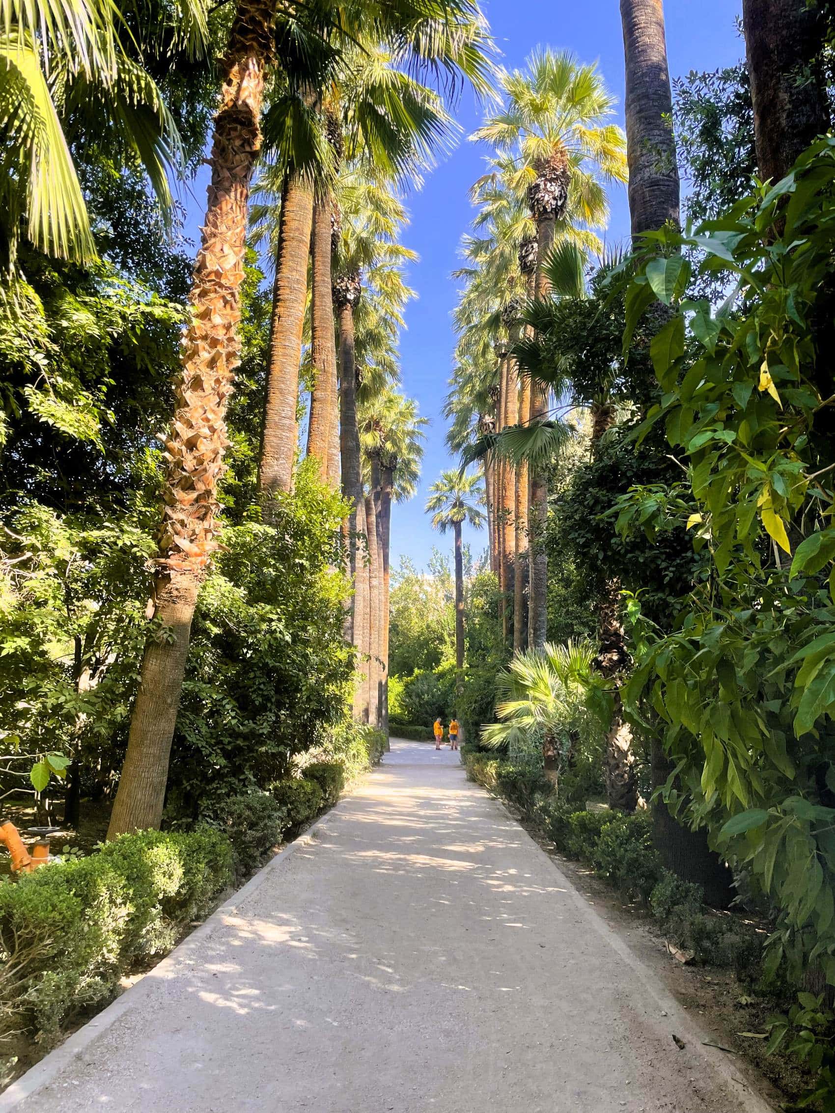 Fußweg im Nationalgarten in Athen