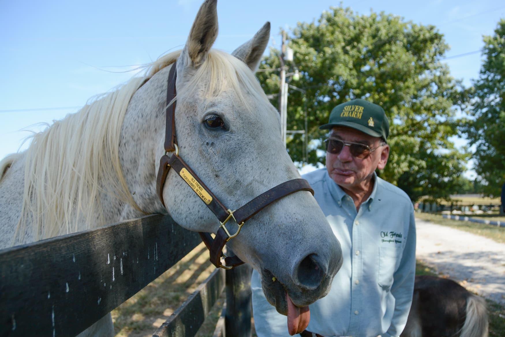 Rennpferd im Altersheim in Kentucky: Silver Charm und Michael Blouwen haben sich gesucht und gefunden
