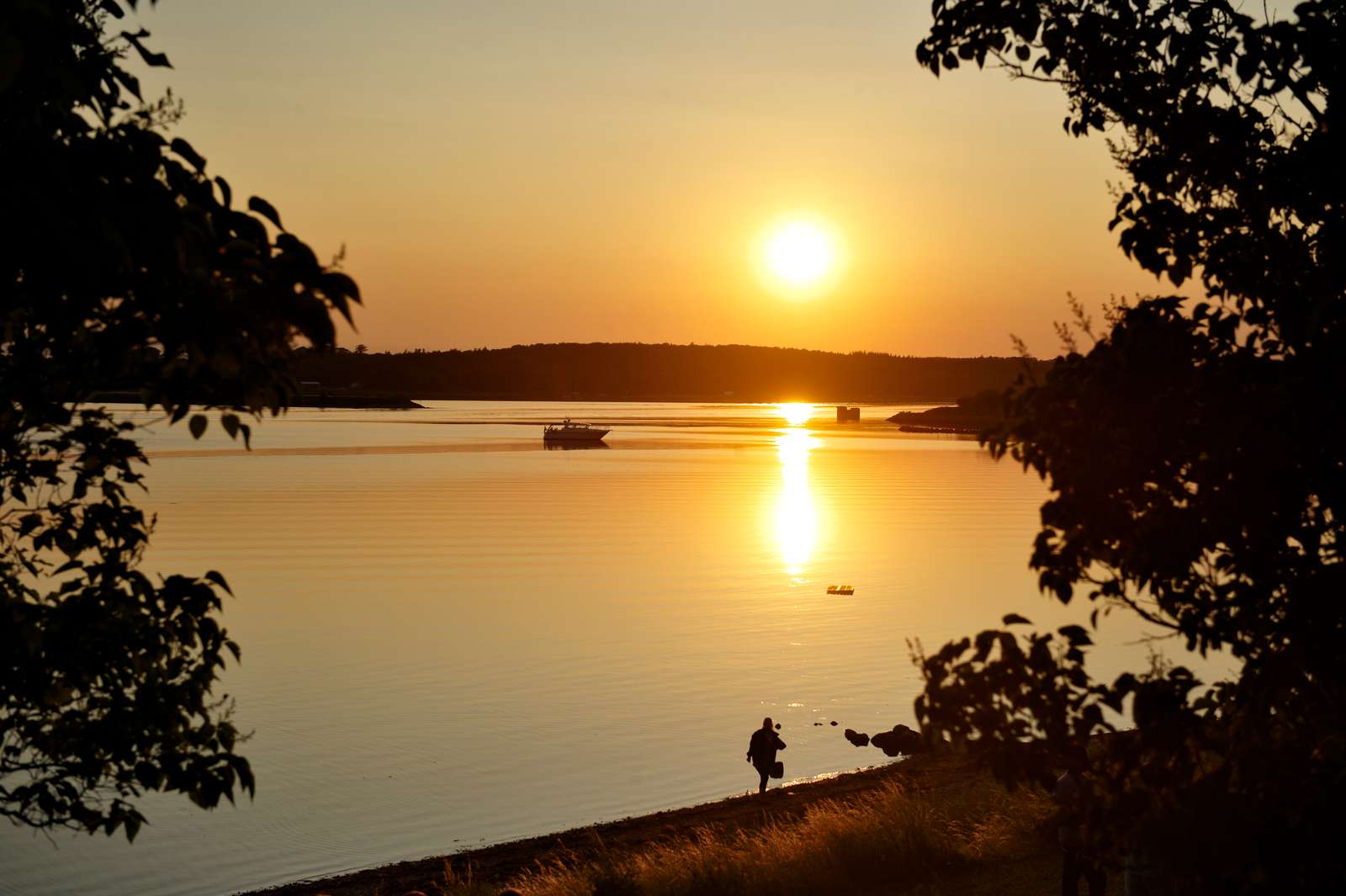 Sonnenuntergang im Roskilde Fjord in Dänemark