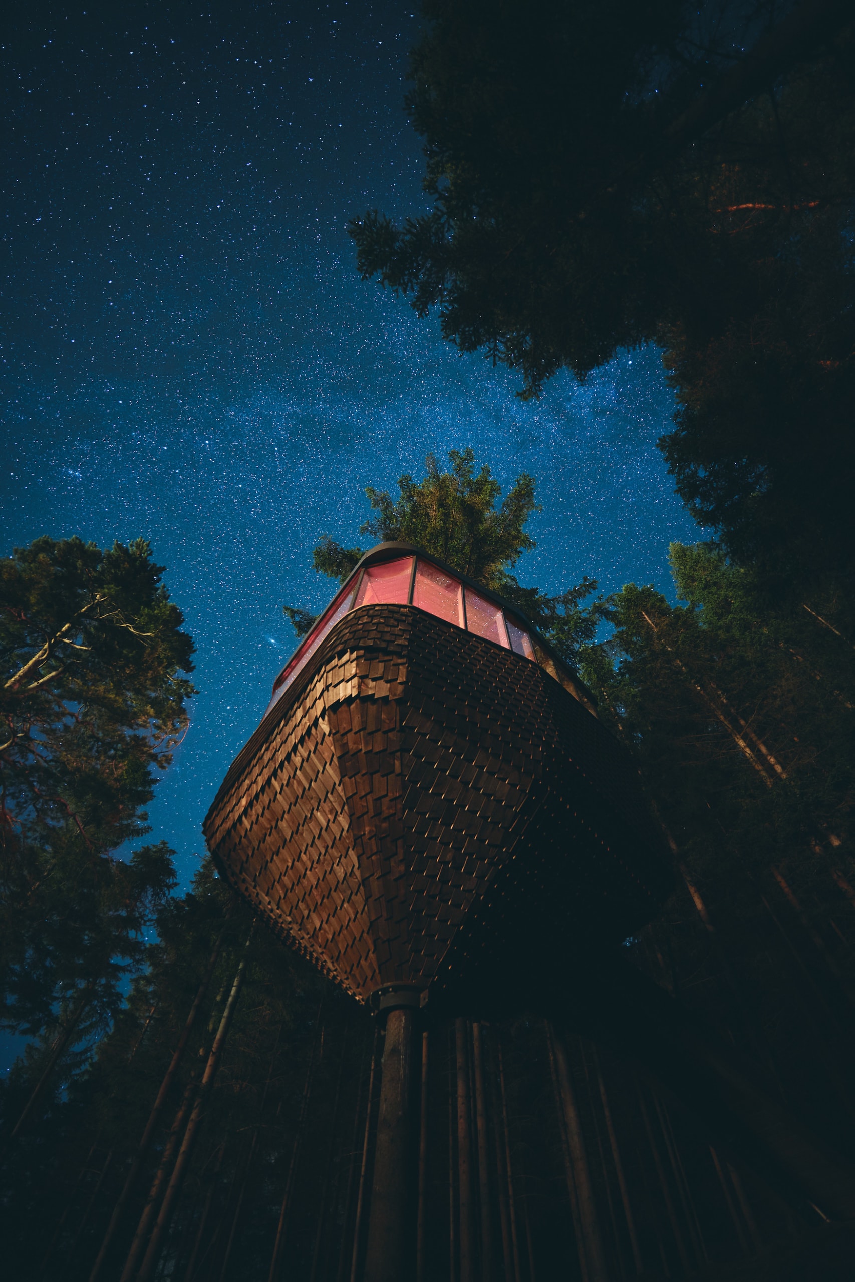 Woodnest bei nacht mit Sternenhimmel: Das Baumhaus ist eine neue, spektakuläre Unterkunft am Hadangerfjord in Norwegen.