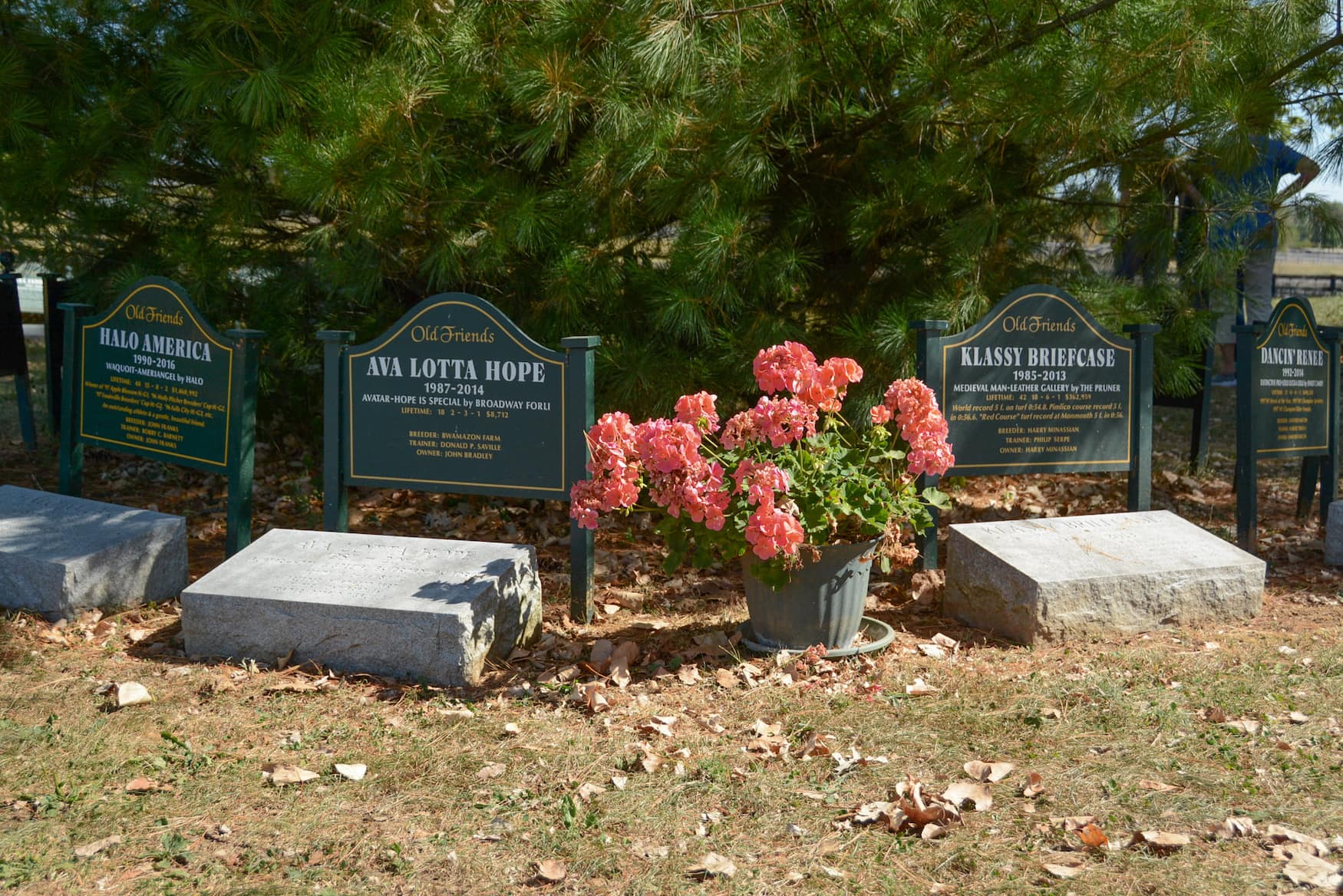 Friedhof für Rennpferde auf der Old Friends-Farm
