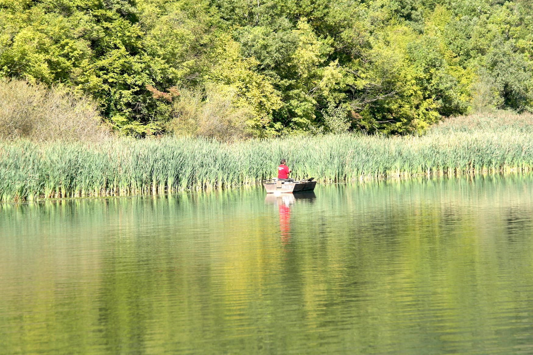 Boot auf dem Fluss Moraga in Serbien