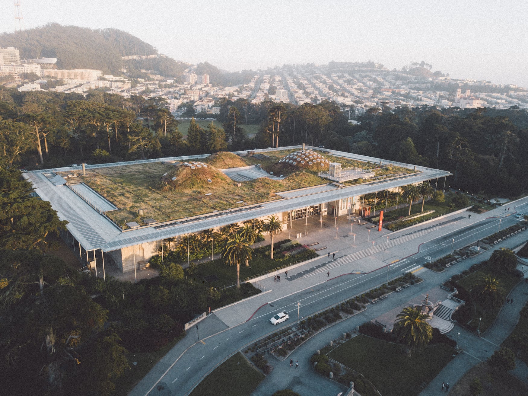 California academy of Sciences