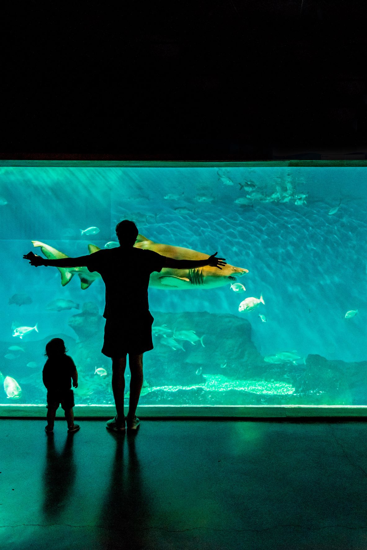 Mann und Kind im Aquarium Sevilla