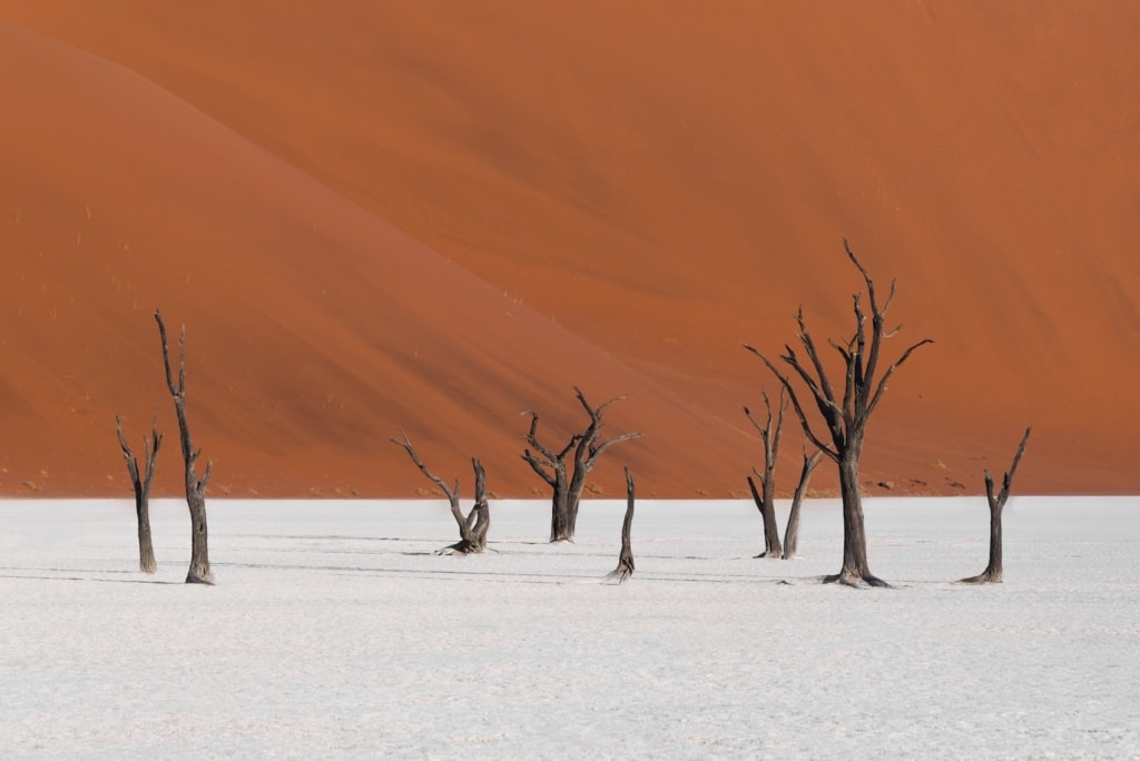 Sossuvlei in der Namib-Wüste ist ein Muss bei einem Besuch Namibias.