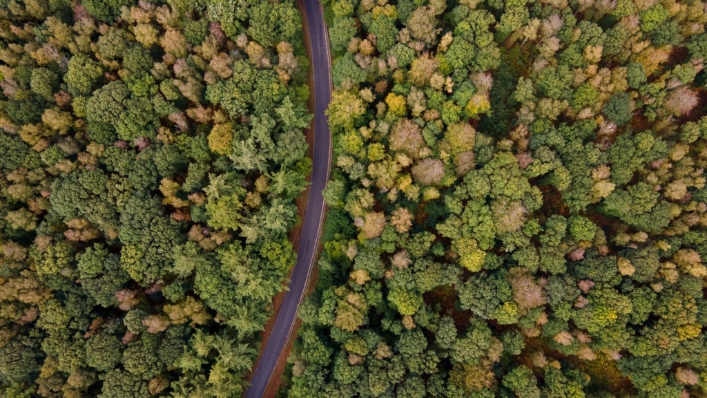 Vogelperspektive auf eine Straße in der Wallonie, die durch einen Wald führt