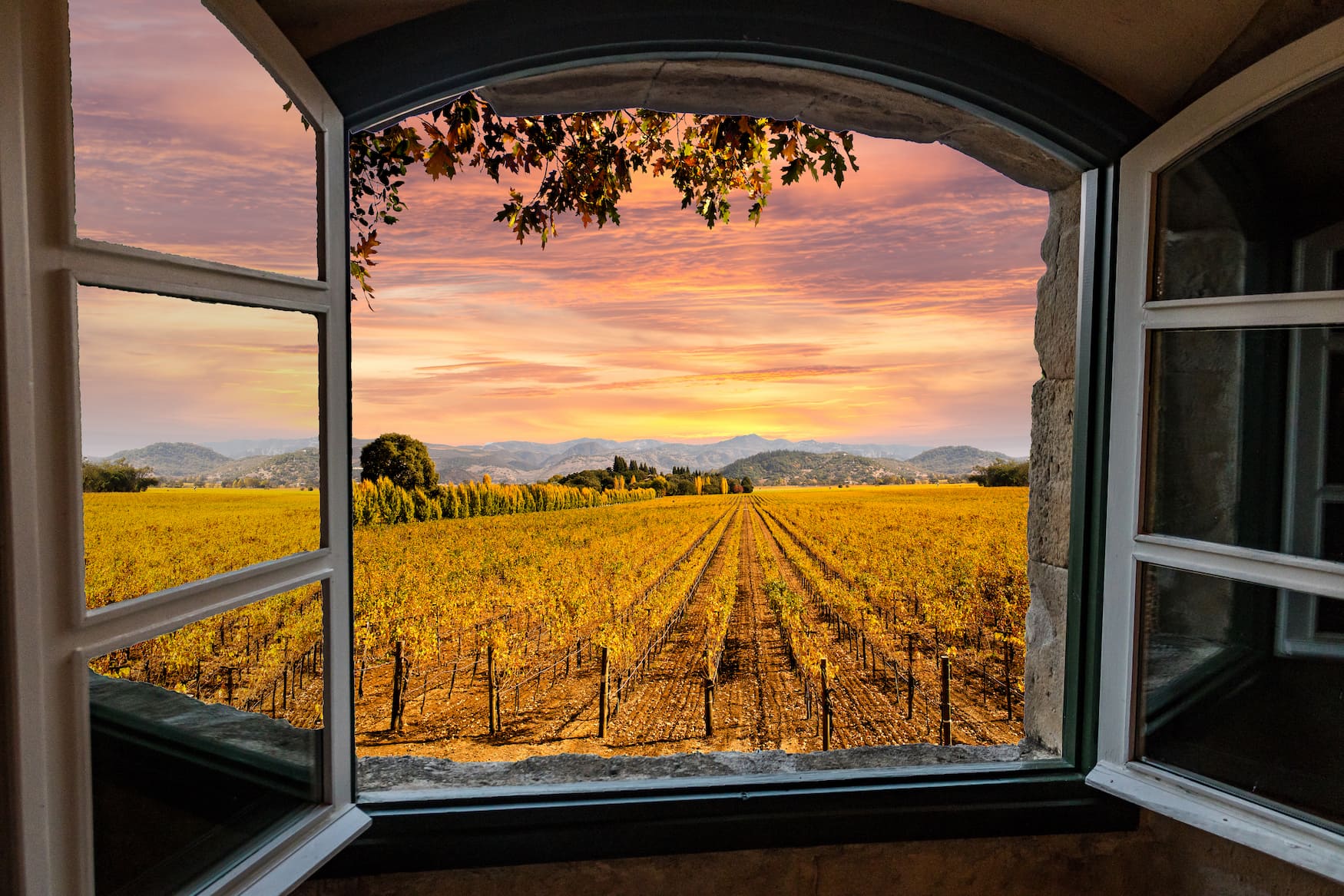 Ausblick aus einem Weingut auf das Weinanbaugebiet in Napa Valley