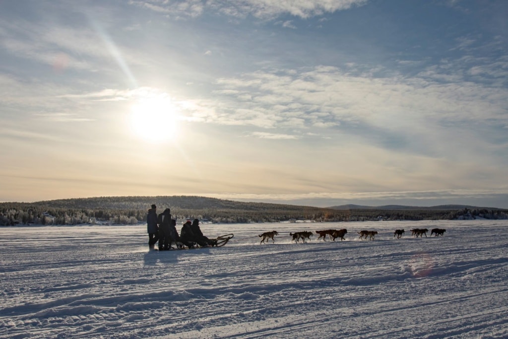 Husky-Schlitten-Safari in Schweden