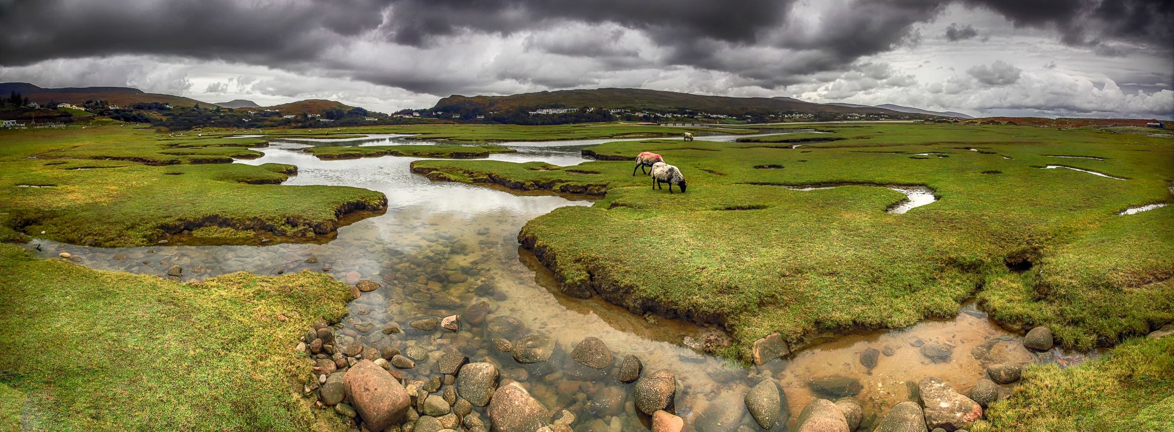 Panoramablick auf eine von kleinen Flussarmen durchzogene irische Landschaft unter wolkenverhangenem Himmel. Ein paar Pferde stehen auf dem Gras.
