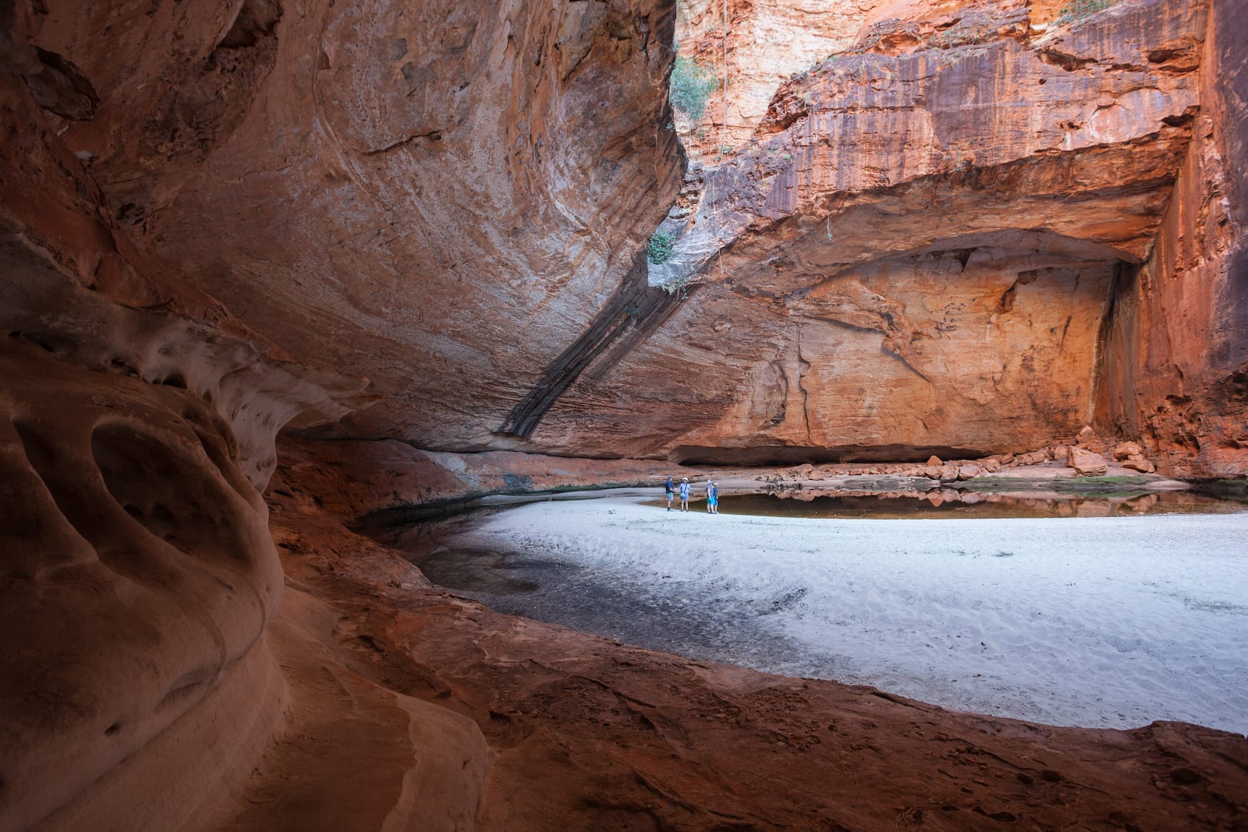 Cathedral Gorge im Purnululu Nationalpark in Westaustralien