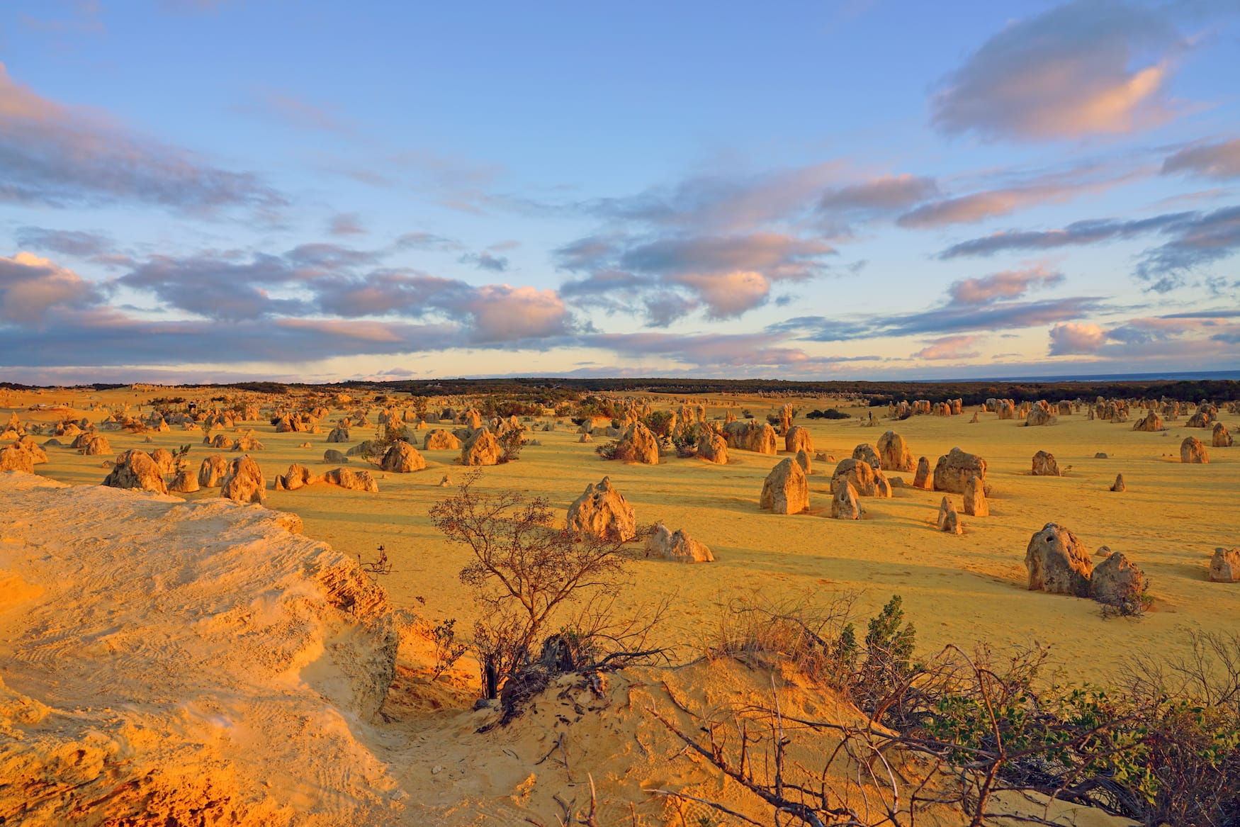Der Nambung Nationalpark mit seinen Pinnacles