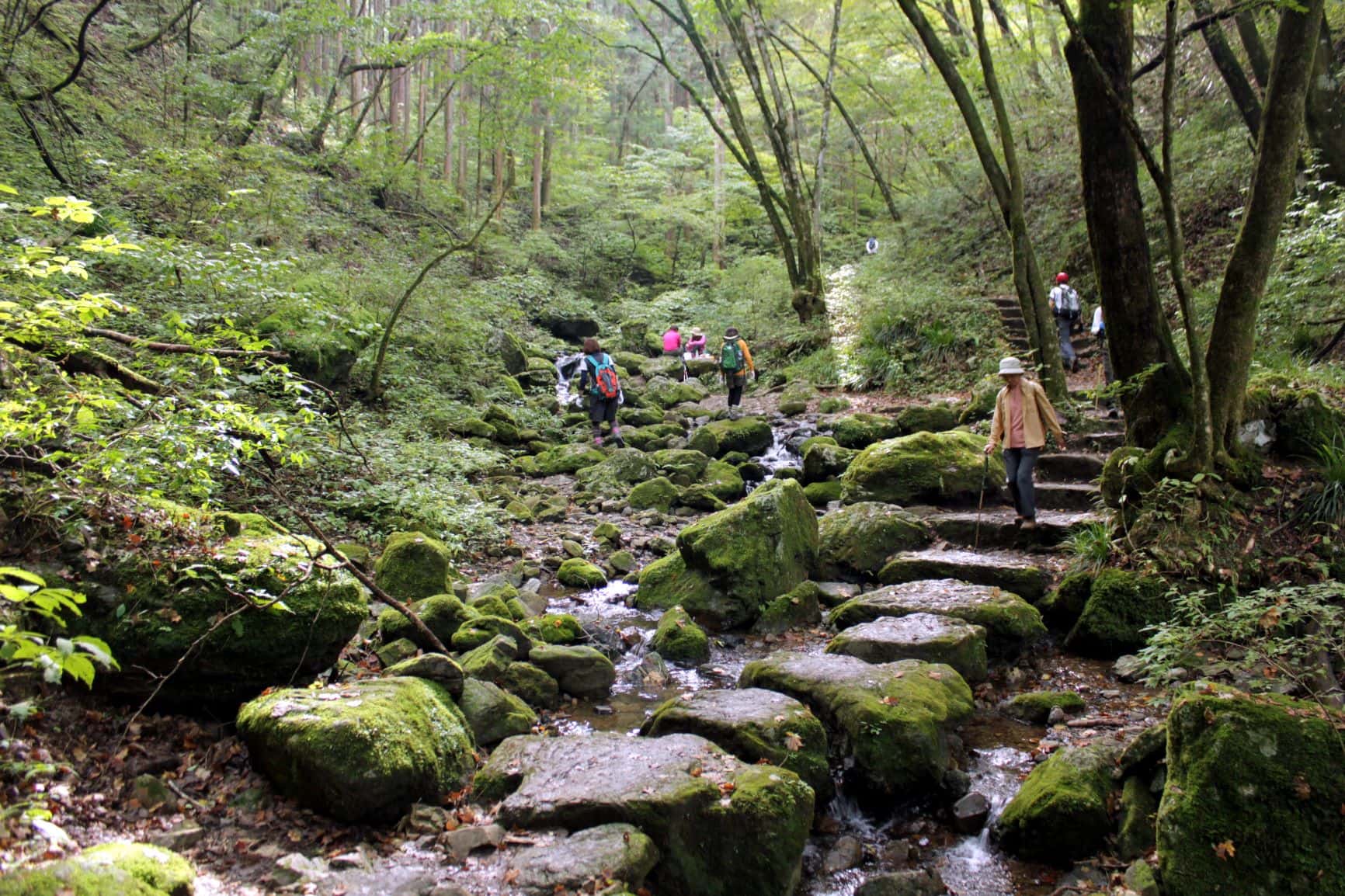 Wanderer am Mount Mitake