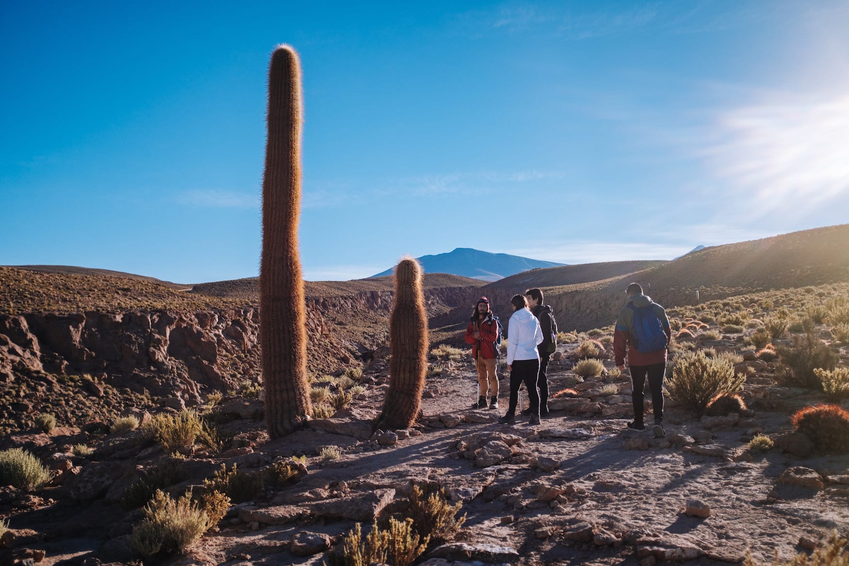 Selfies in den Kakteen in der Atacama