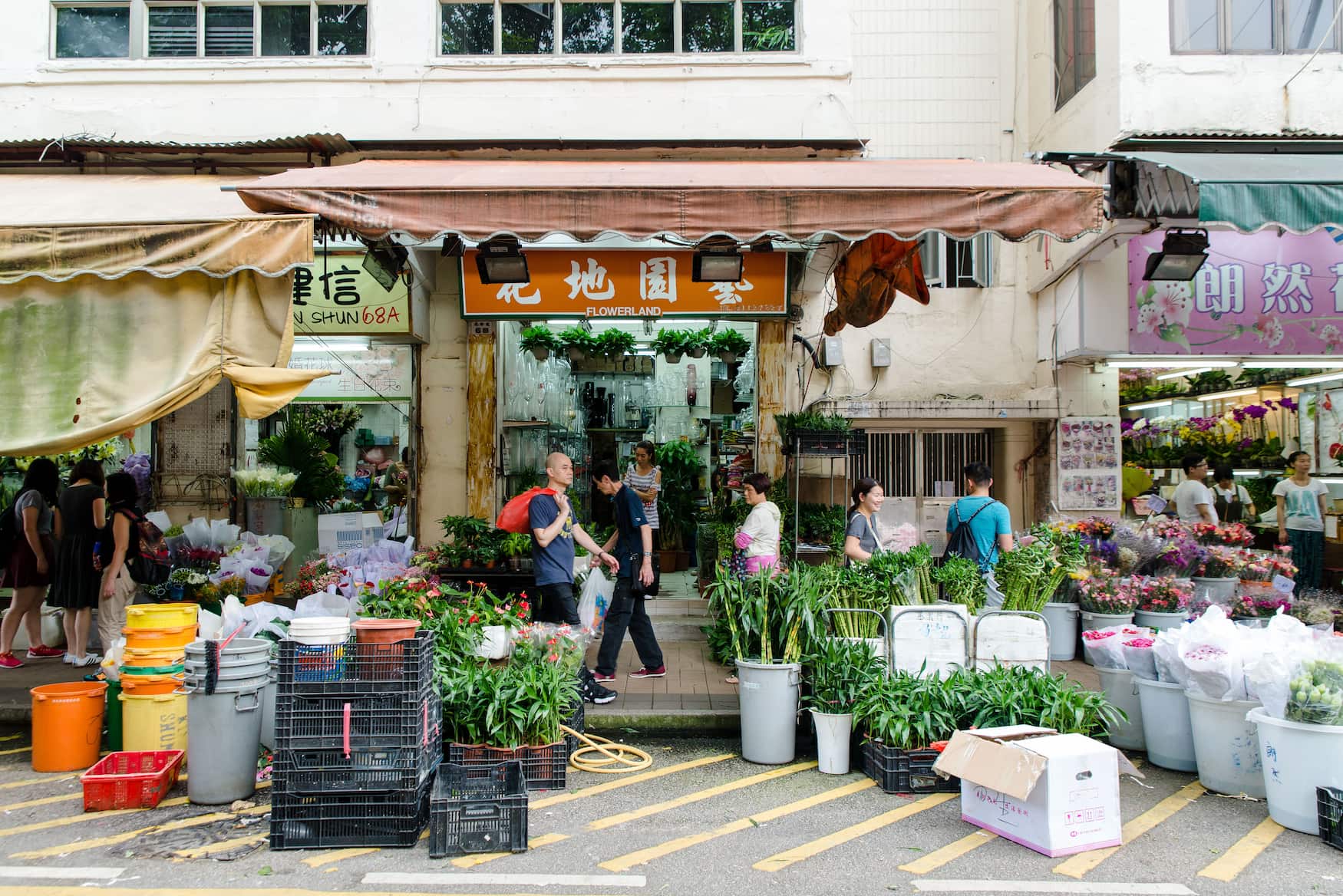 Flower Market in Hongkong