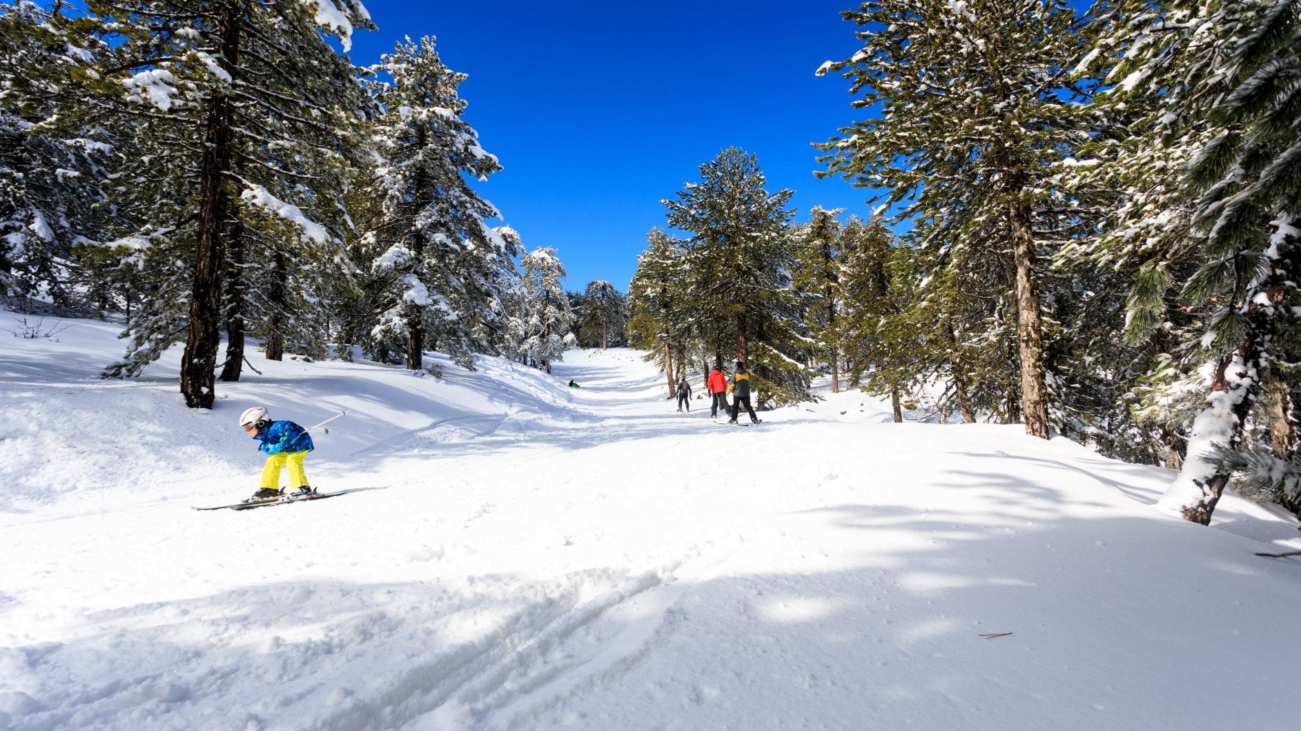 Skifahrer auf Zypern fahren einen Berg hinab 