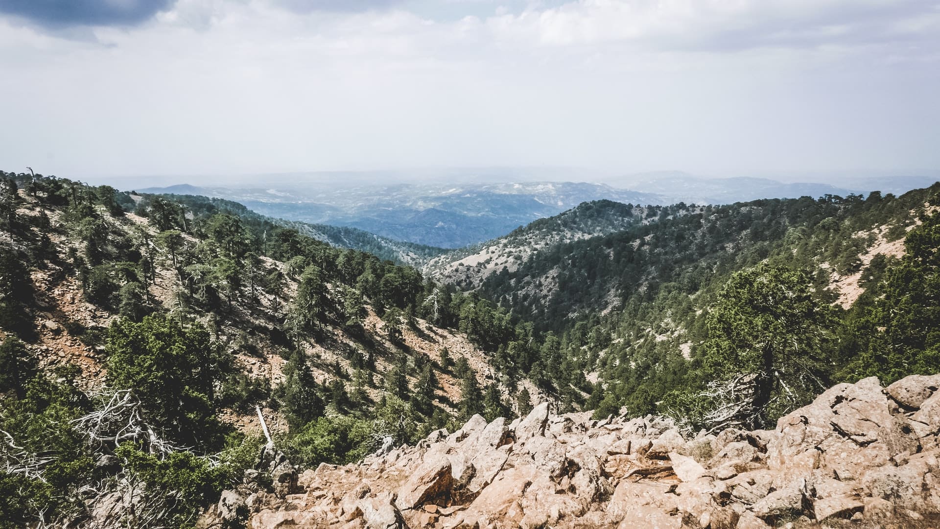 Troodos-Nationalpark auf Zypern 