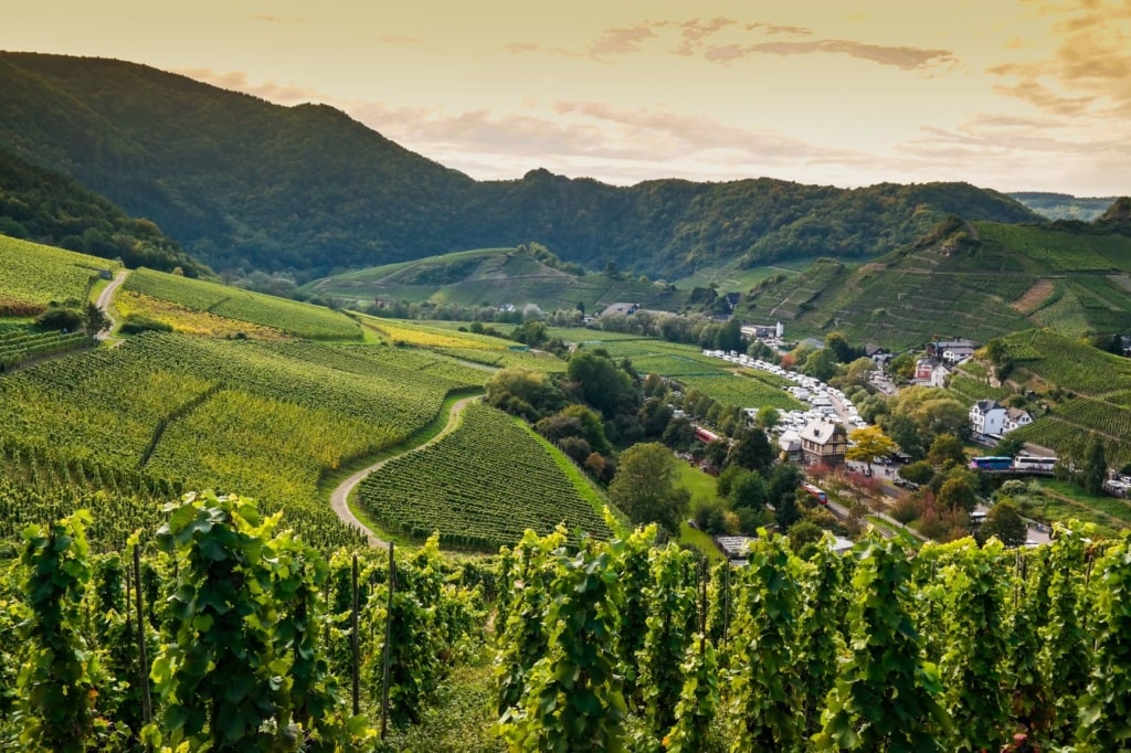 Ahrtal-Landschaft