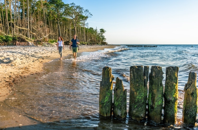 Das Licht macht’s – und präsentiert den Strand zwischen Graal-Müritz und Rostock in immer neuen Stimmungen. | TMV/Tiemann