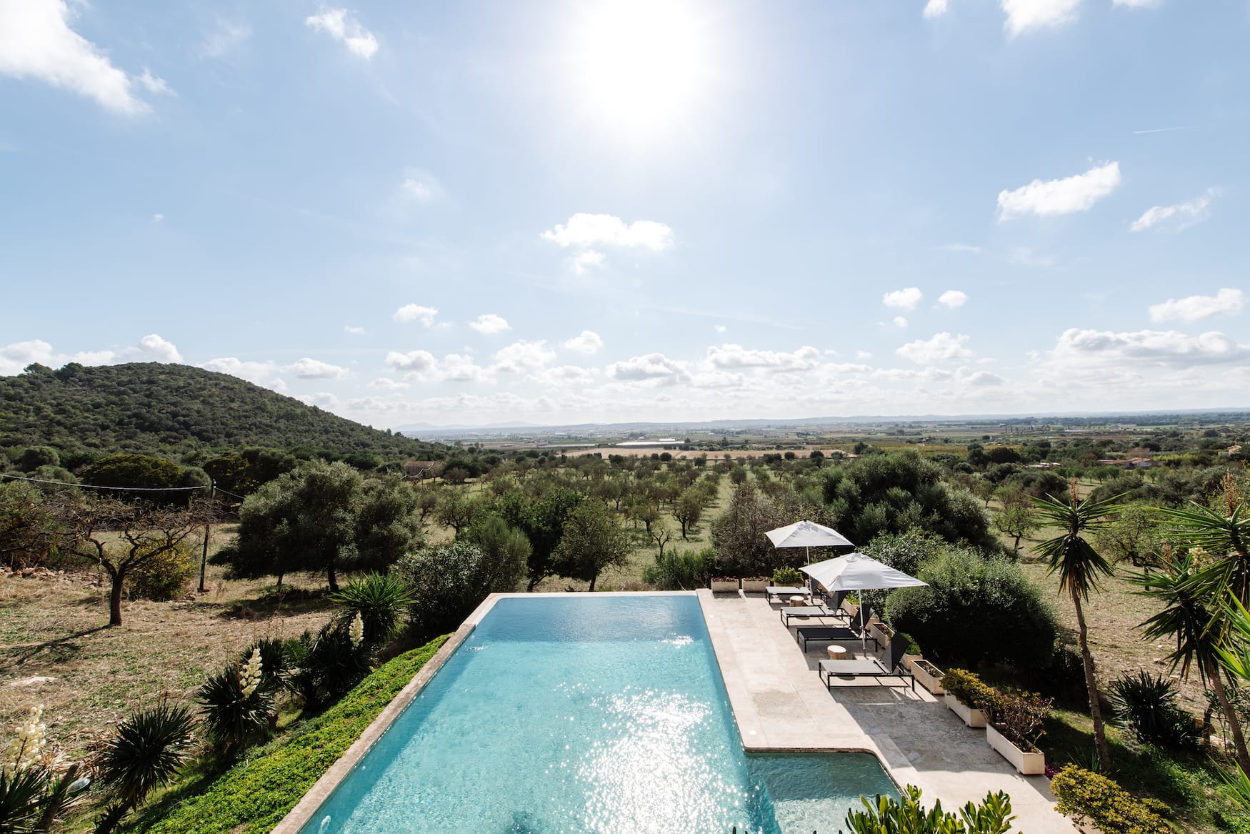 Langer Pool inmitten von mallorquinischer Natur