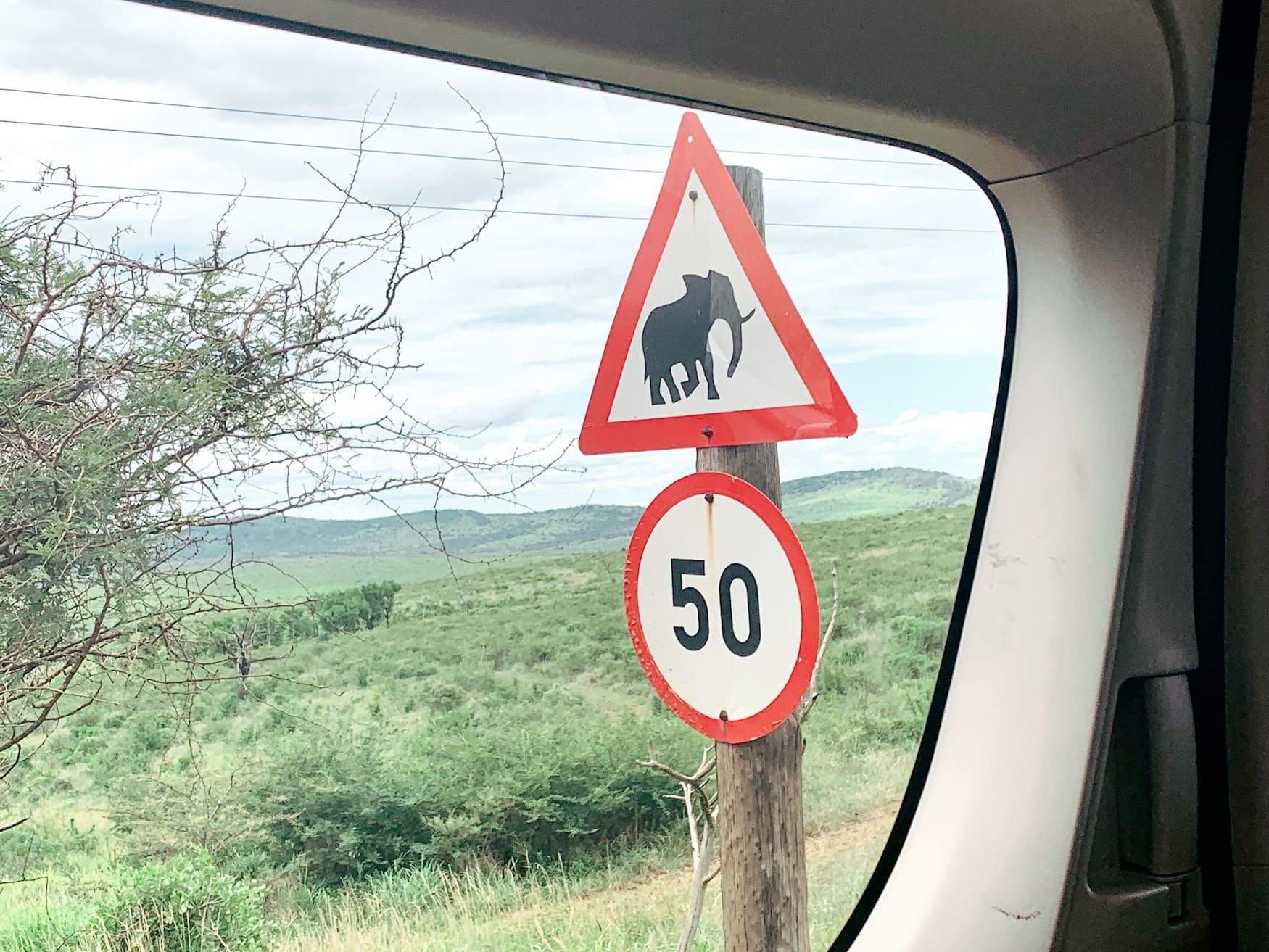 Verkehrsschild mit einem Elefant am Straßenrand des Phinda Private Game Reserves