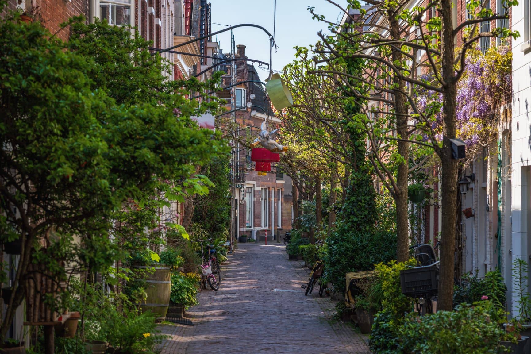 Gasse in Haarlem, Holland