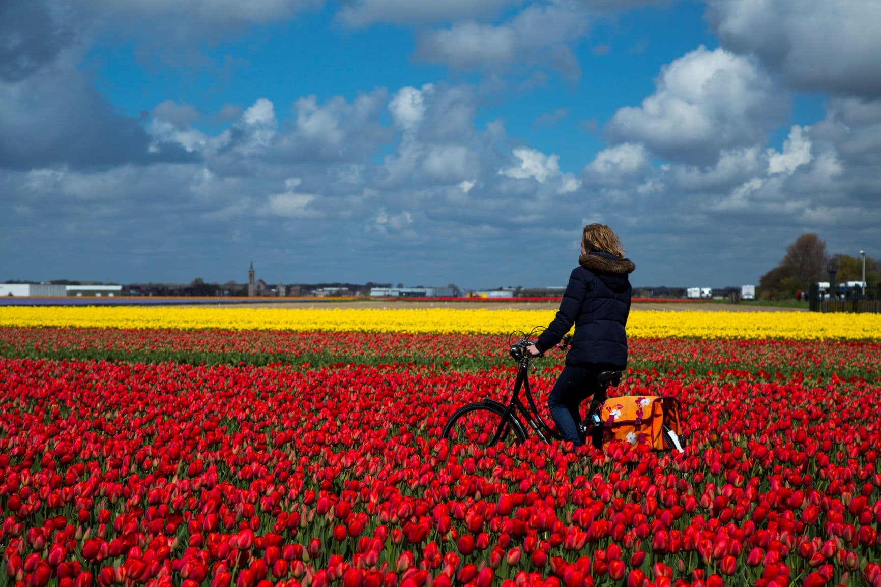 Frau auf Fahrrad im Tulpenfeld Bollenstreek