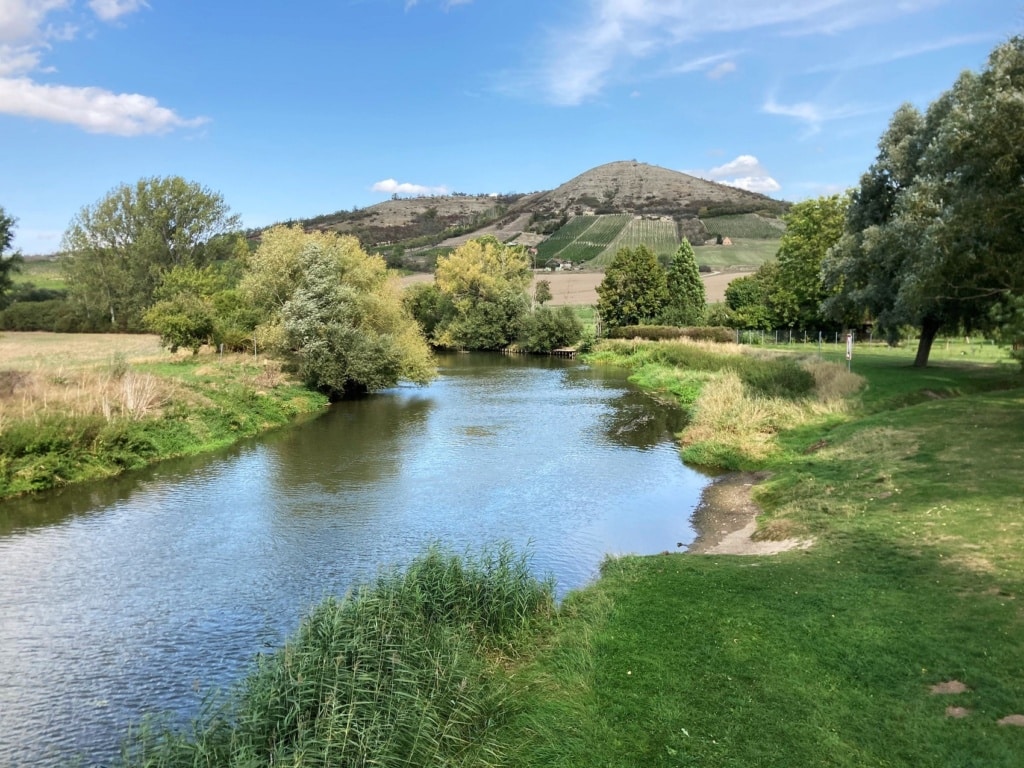 Die Unstrut ist bei Freyburg immerhin zu einem ansehnlichen Fluss geworden.