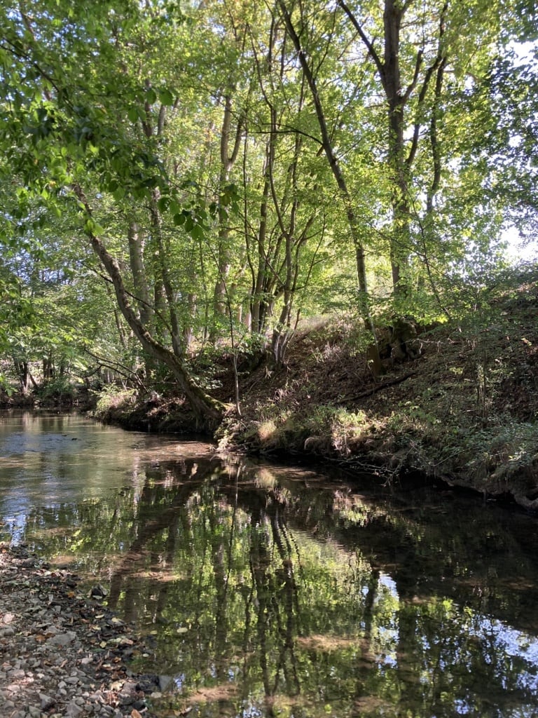 Der Unstrutradweg führt durch idyllische Natur.