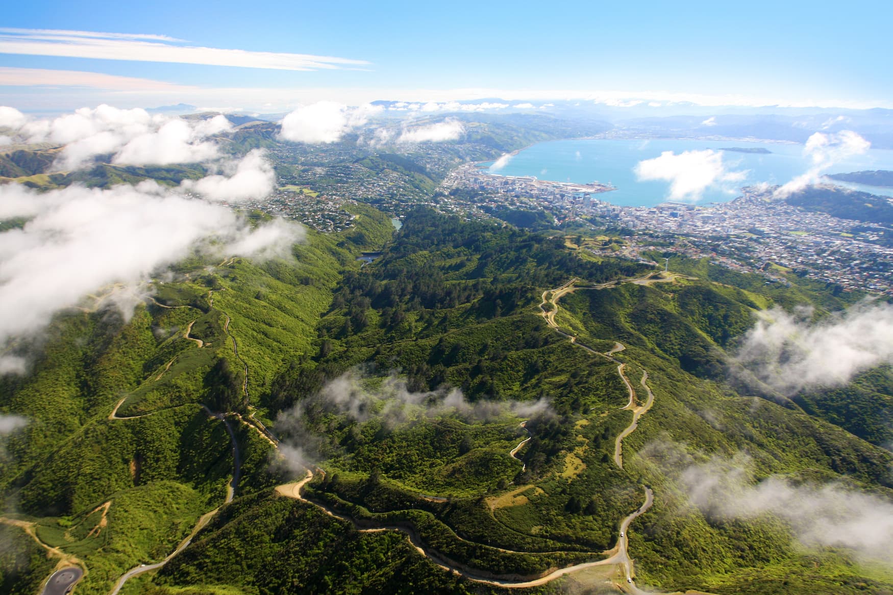 Zealandia Naturpark nahe Wellington in Neuseeland