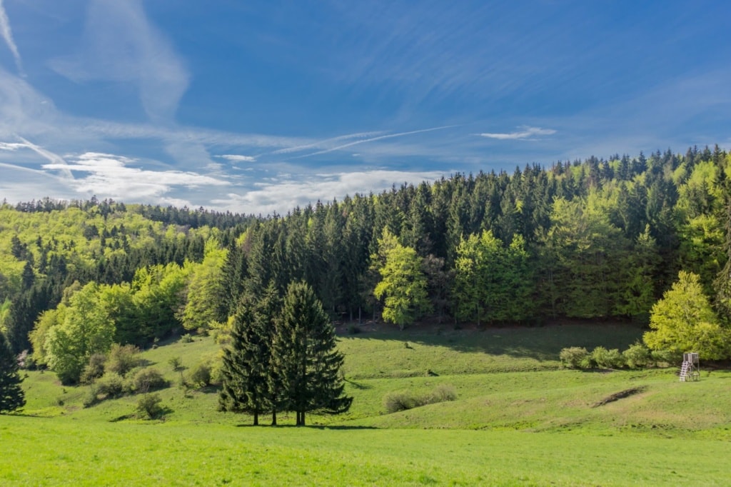 Rennsteig in Thüringen