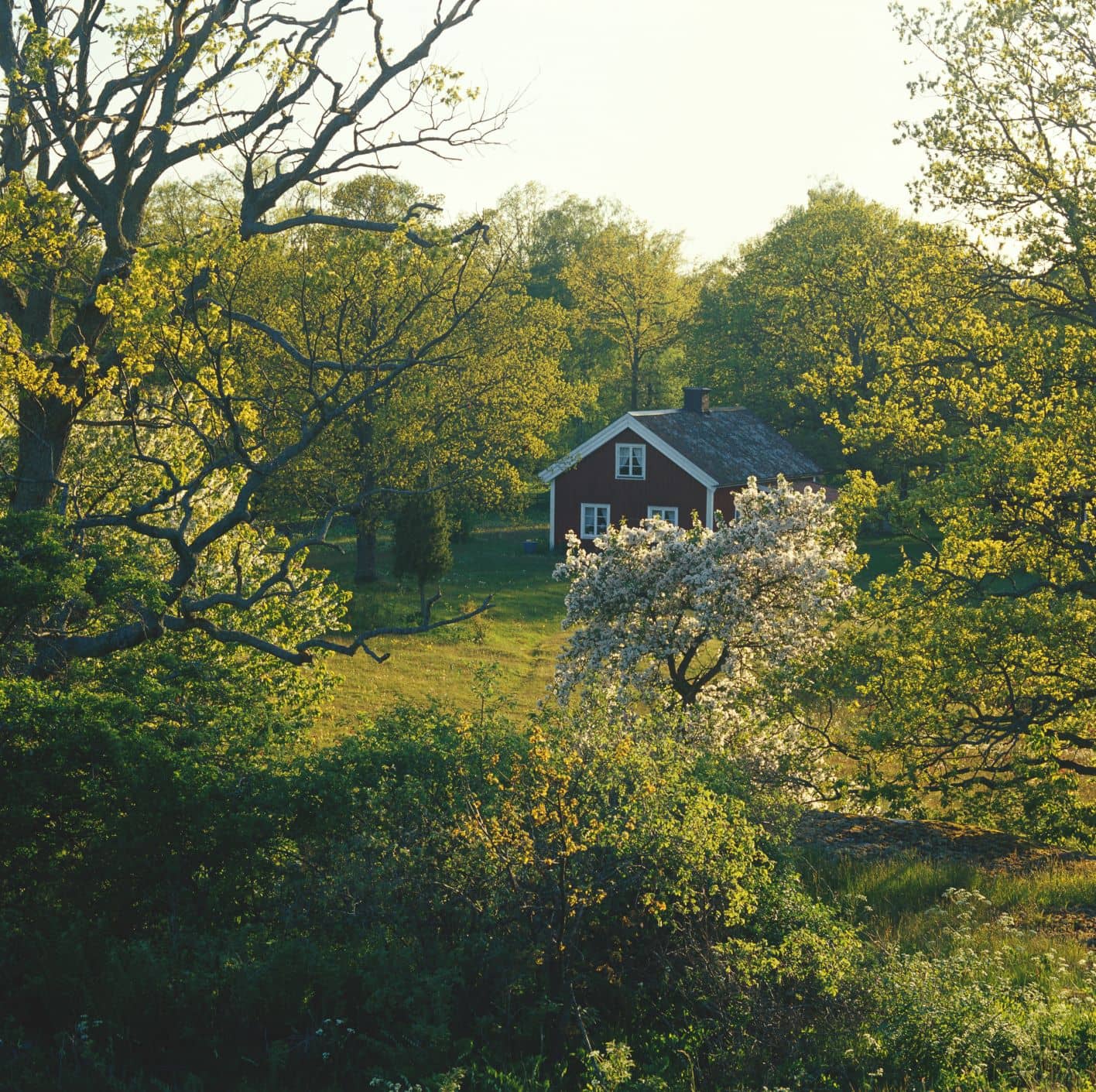 Rote Ferienhütte in Östergötland, Schweden