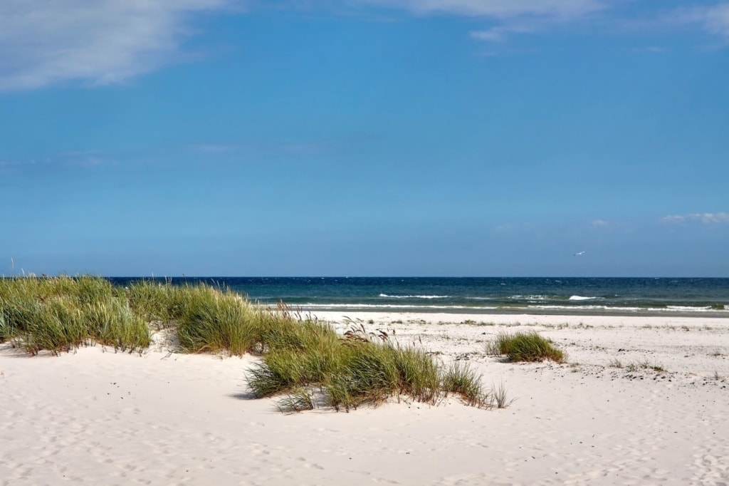Dueodde-Strand in Dänemark 