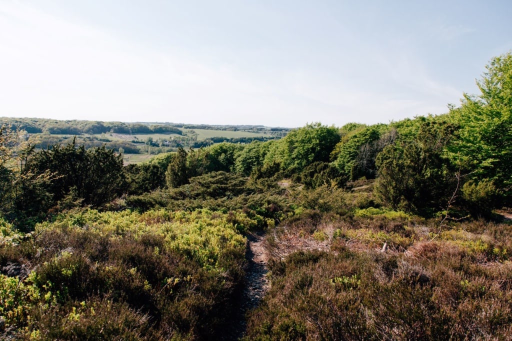 Nationalpark Rebild Bakker