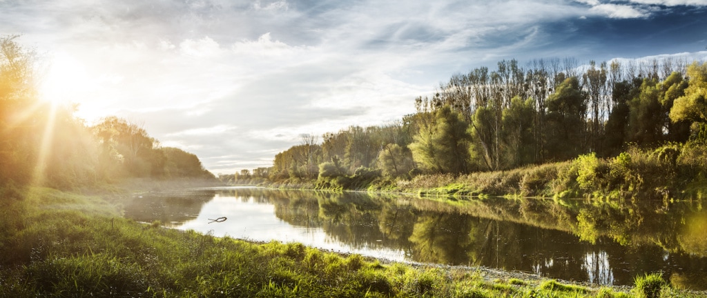 Donauauen bei Sonnenschein