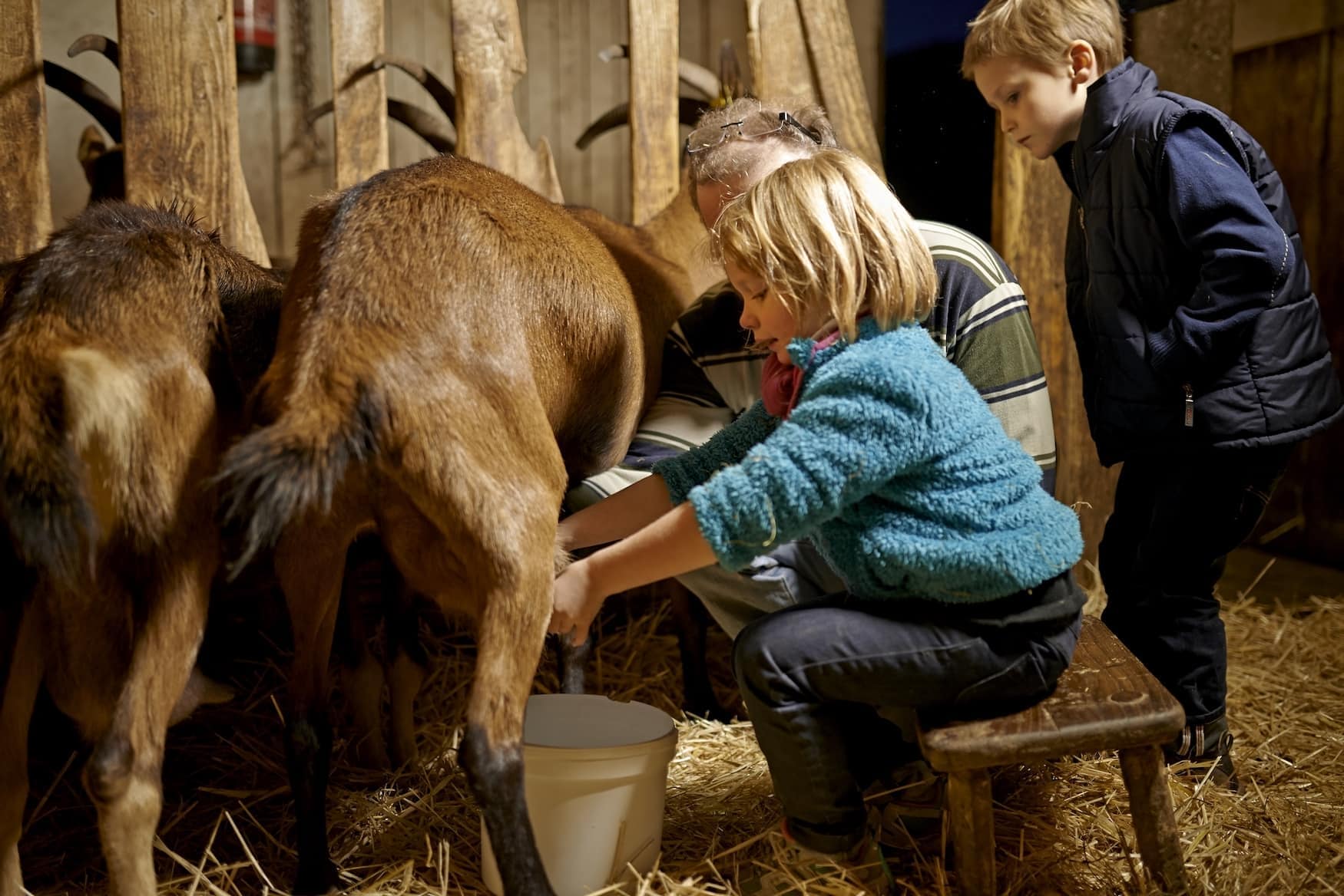 Kinder sitzen in einem Stall und melken Kühe