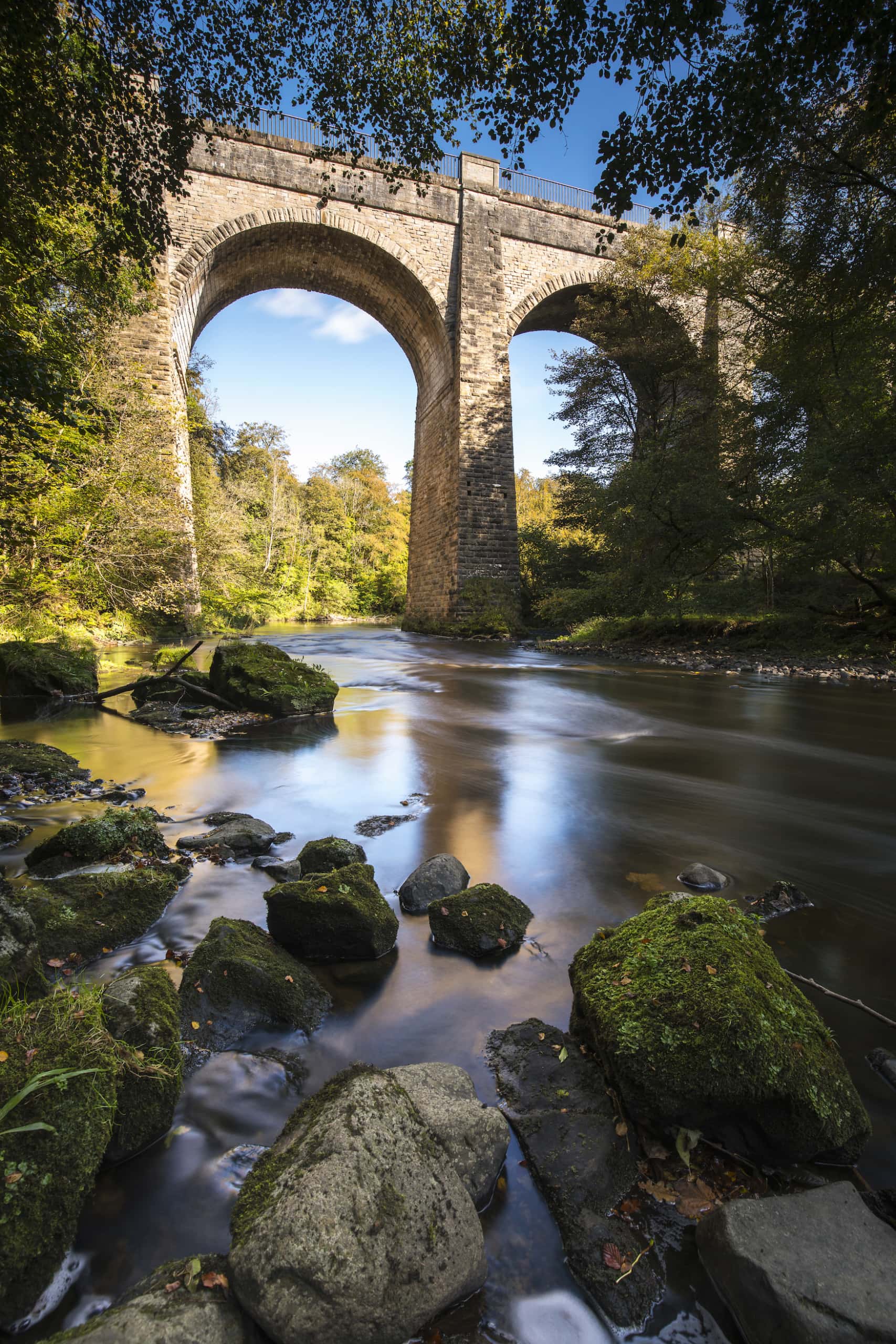 Fluss im schottischen Muiravonside Country Park