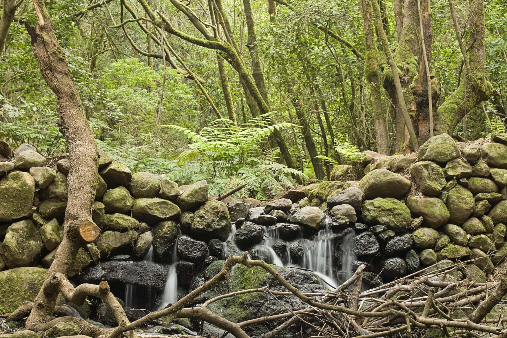 Wasserfall in El Cedro auf La Gomera
