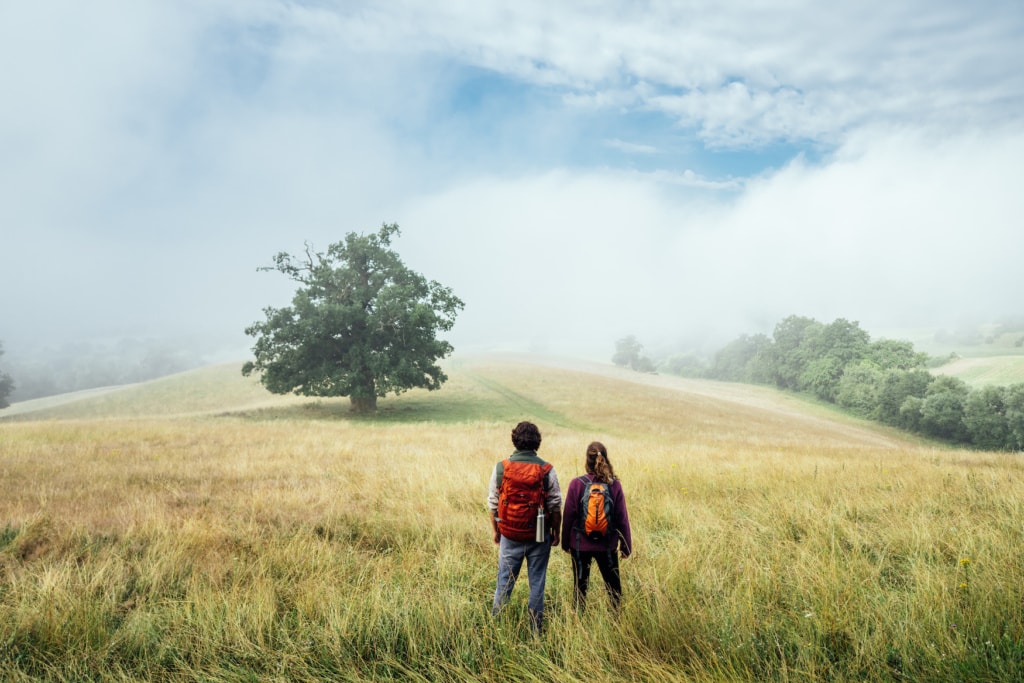 Wandern auf dem Naturparkweg durch die Landschaft der Mecklenburgischen Seenplatte | TMV/Gänsicke