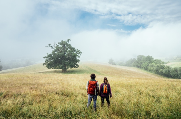 Wandern auf dem Naturparkweg durch die Landschaft der Mecklenburgischen Seenplatte | TMV/Gänsicke
