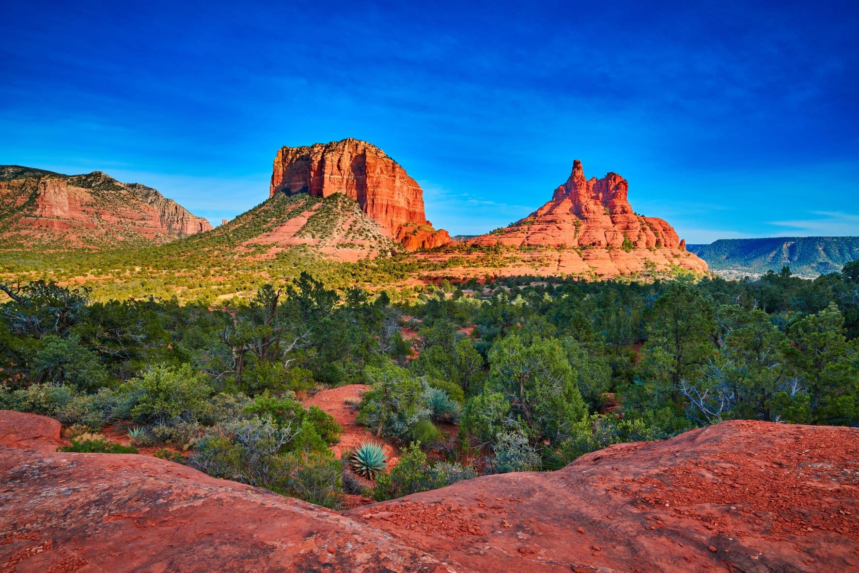 Coconino National Forest Arizona