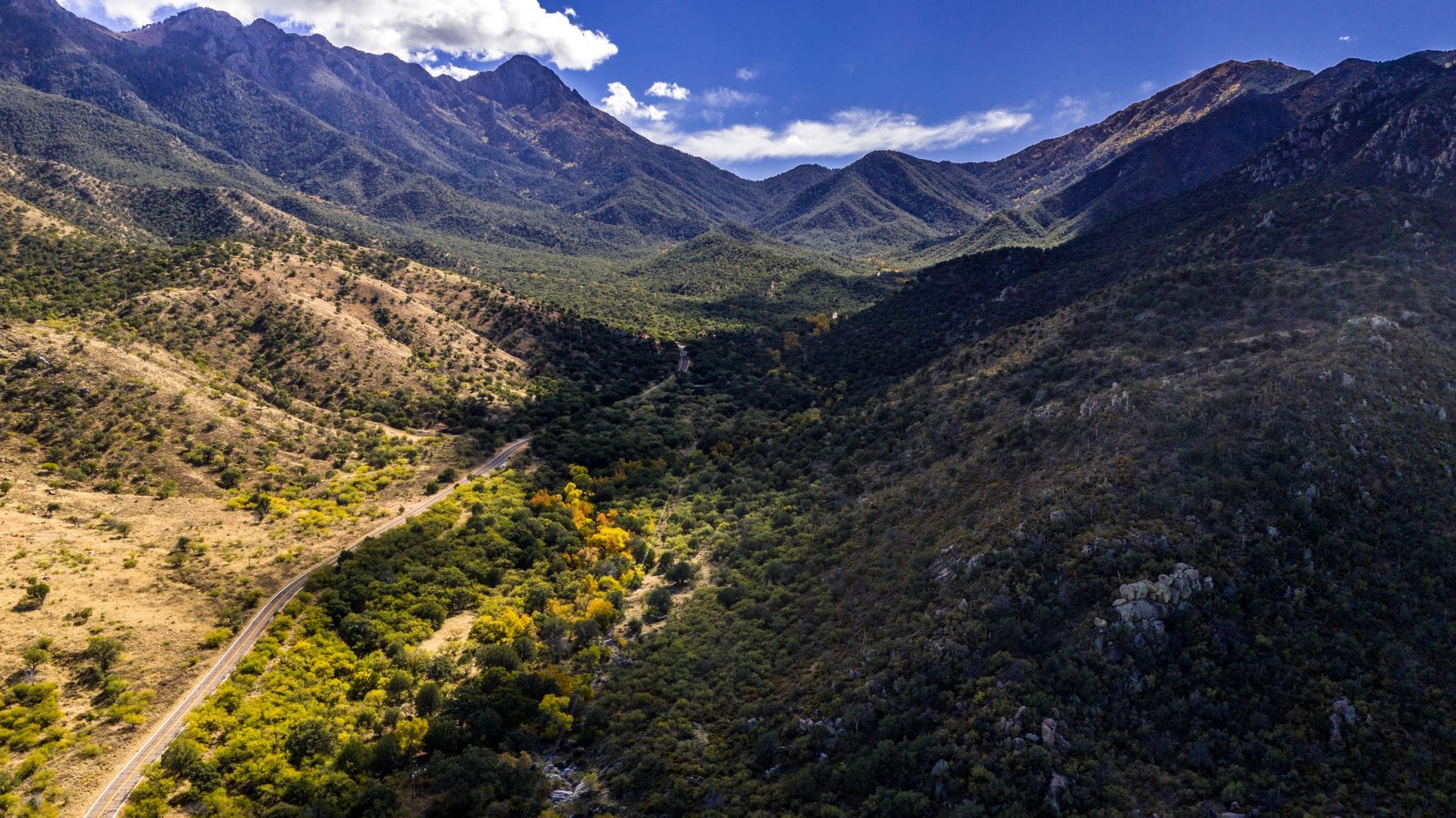 Madera Canyon Arizona