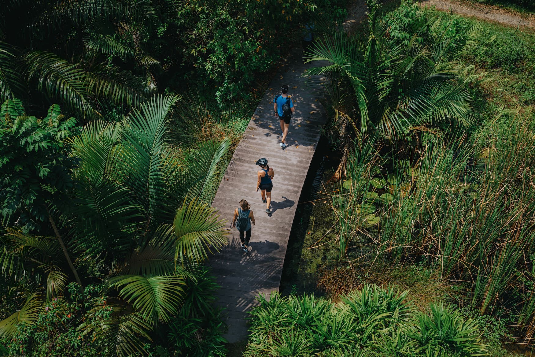 Naturreservat in Singapur