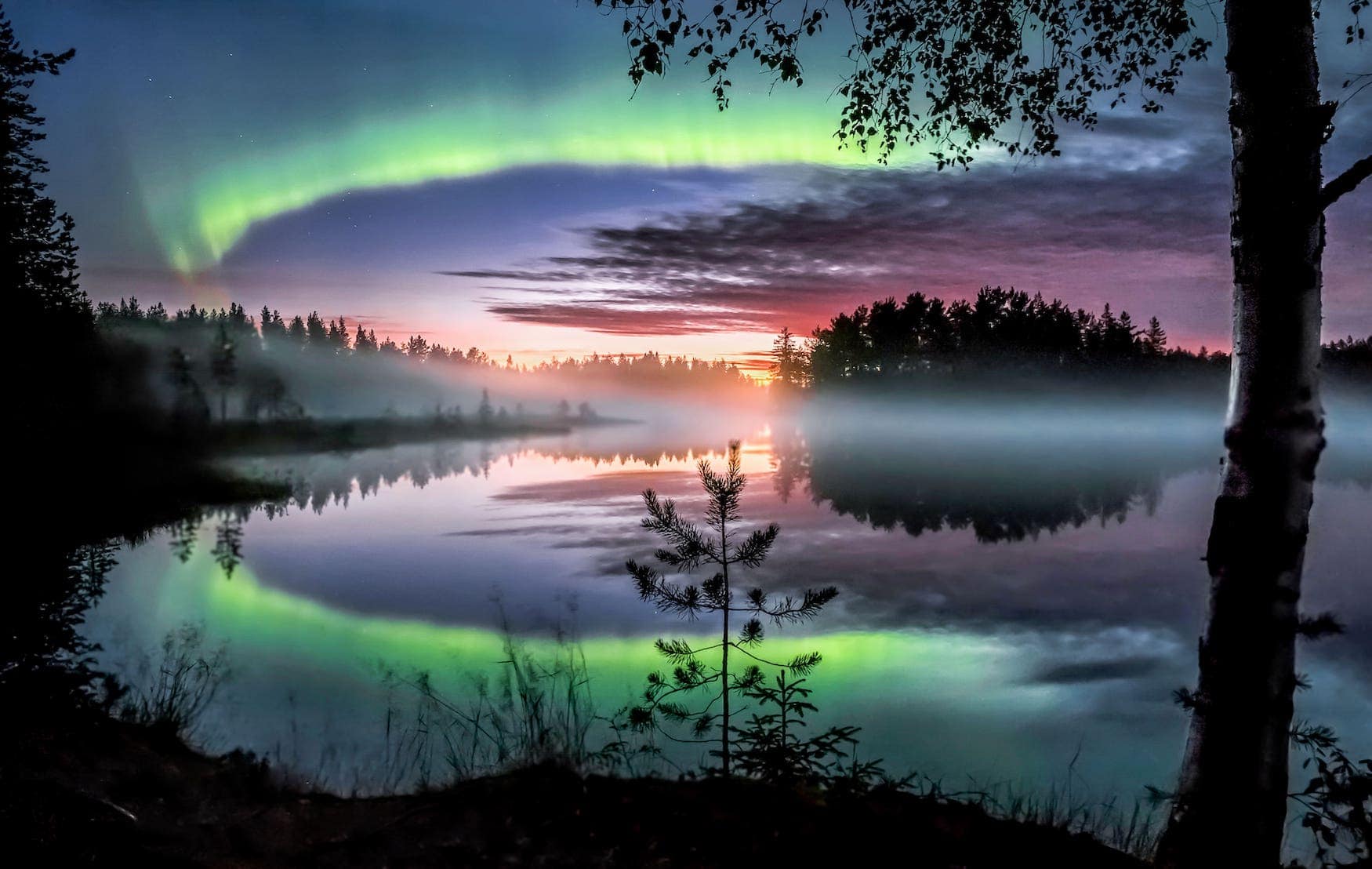 Nordlichter während dem finnischen Herbst Ruska